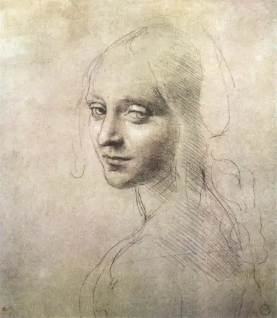 Head of a Woman (Turin) Leonardo da Vinci